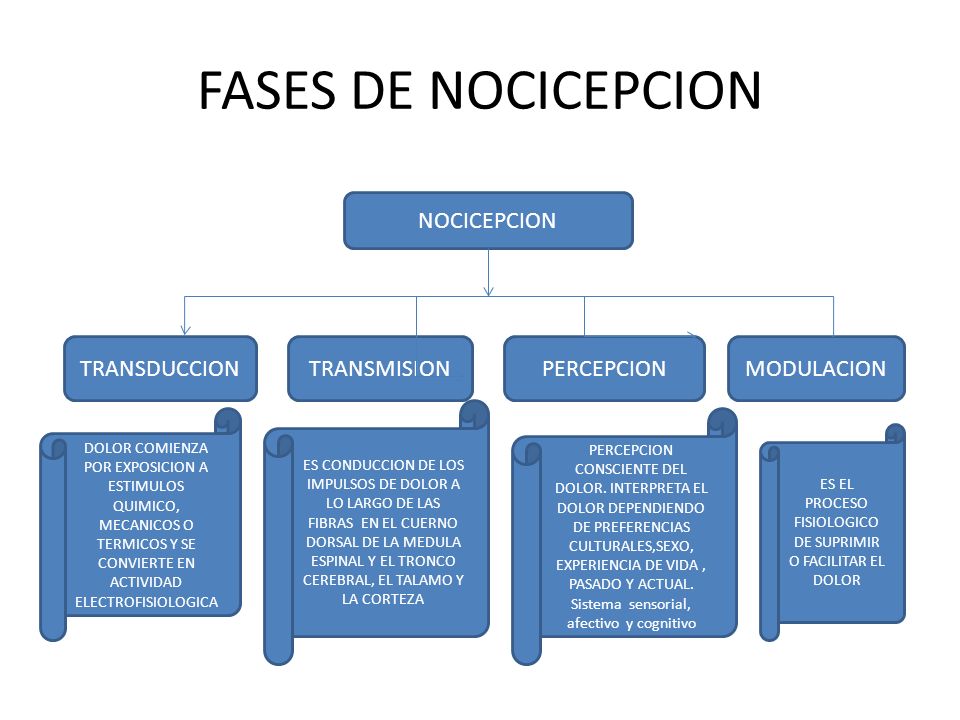 ES EL PROCESO FISIOLOGICO DE SUPRIMIR O FACILITAR EL DOLOR