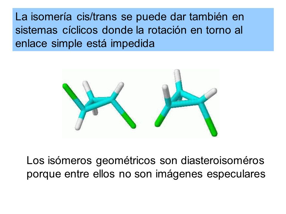 La isomería cis/trans se puede dar también en sistemas cíclicos donde la rotación en torno al enlace simple está impedida