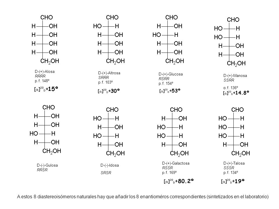 D-(+)-Alosa RRRR p.f. 148º D-(+)-Altrosa SRRR. p.f. 103º D-(+)-Glucosa RSRR p.f. 154º