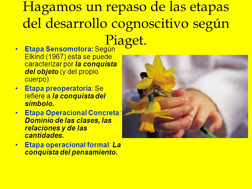 Hagamos un repaso de las etapas del desarrollo cognoscitivo según Piaget.