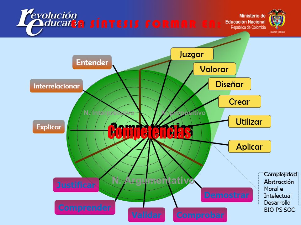 Competencias EN SÍNTESIS FORMAR EN: N. Argumentativo Juzgar Valorar