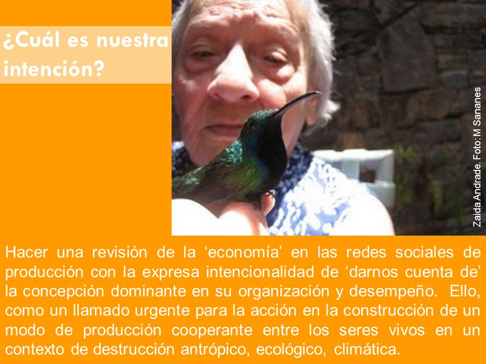¿Cuál es nuestra intención