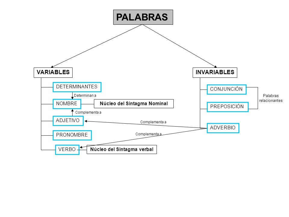 Núcleo del Sintagma Nominal Núcleo del Sintagma verbal