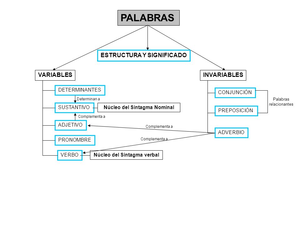 Núcleo del Sintagma Nominal Núcleo del Sintagma verbal