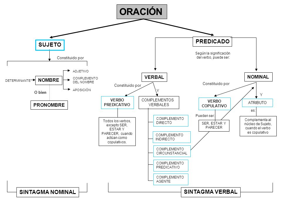 ORACIÓN PREDICADO SUJETO SINTAGMA NOMINAL SINTAGMA VERBAL VERBAL