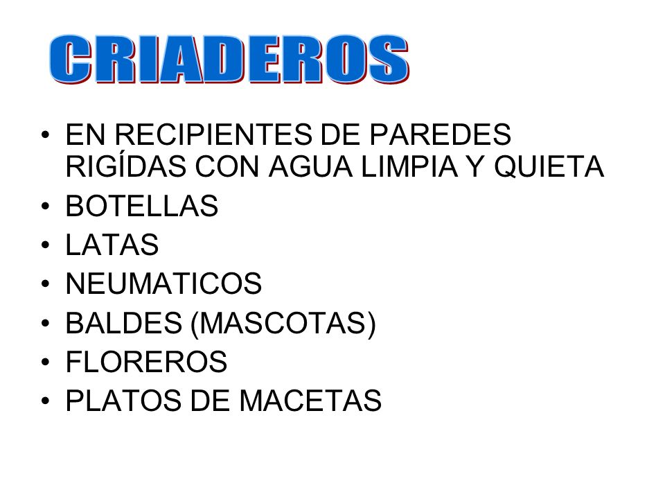 CRIADEROS EN RECIPIENTES DE PAREDES RIGÍDAS CON AGUA LIMPIA Y QUIETA