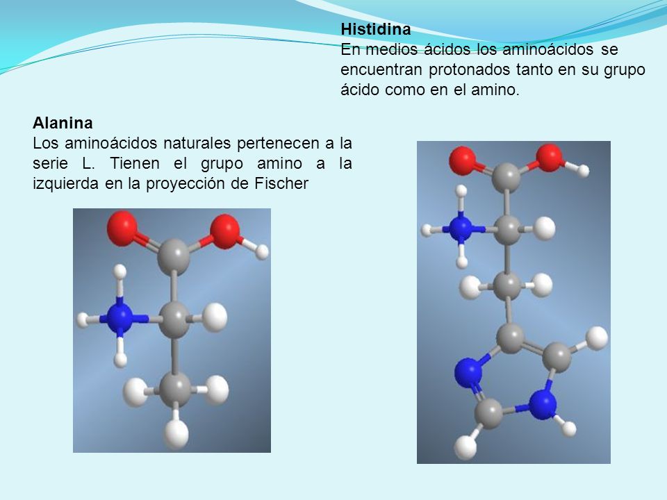 Histidina En medios ácidos los aminoácidos se encuentran protonados tanto en su grupo ácido como en el amino.
