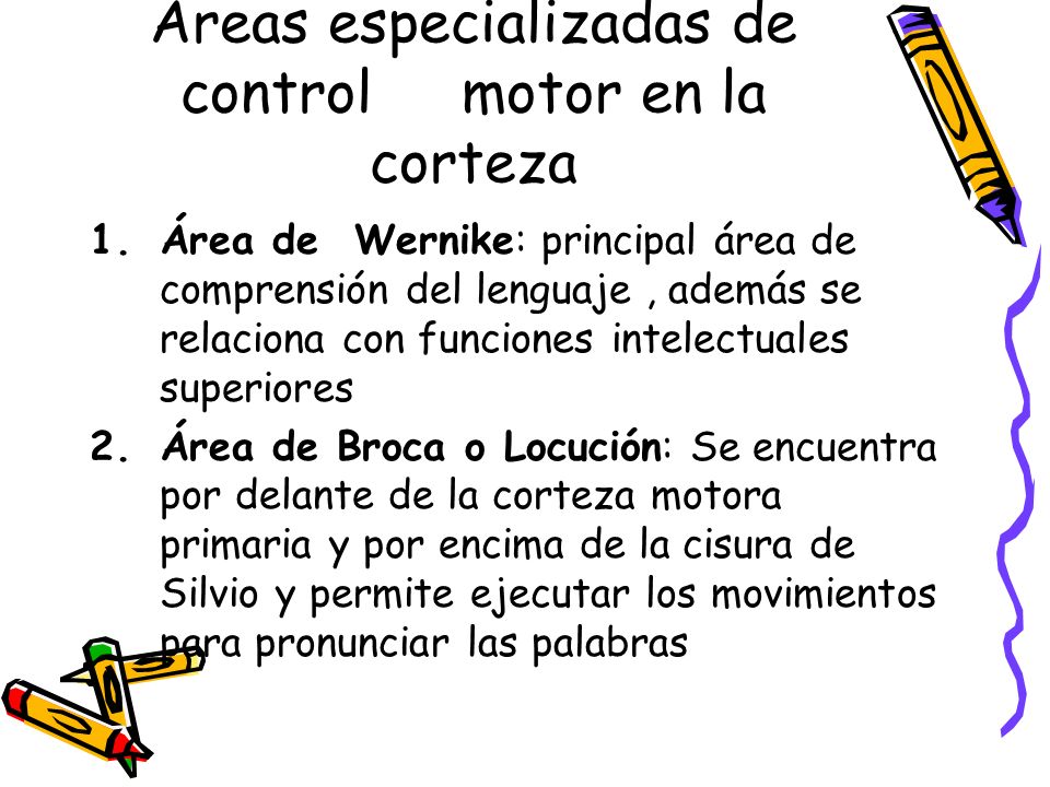 Áreas especializadas de control motor en la corteza