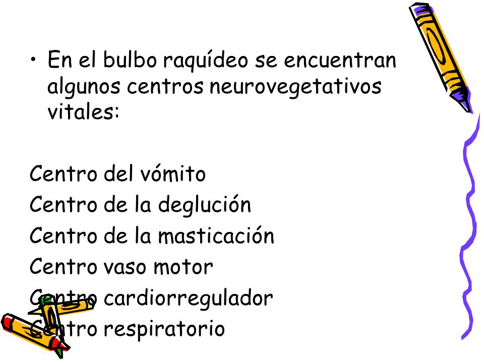 En el bulbo raquídeo se encuentran algunos centros neurovegetativos vitales: