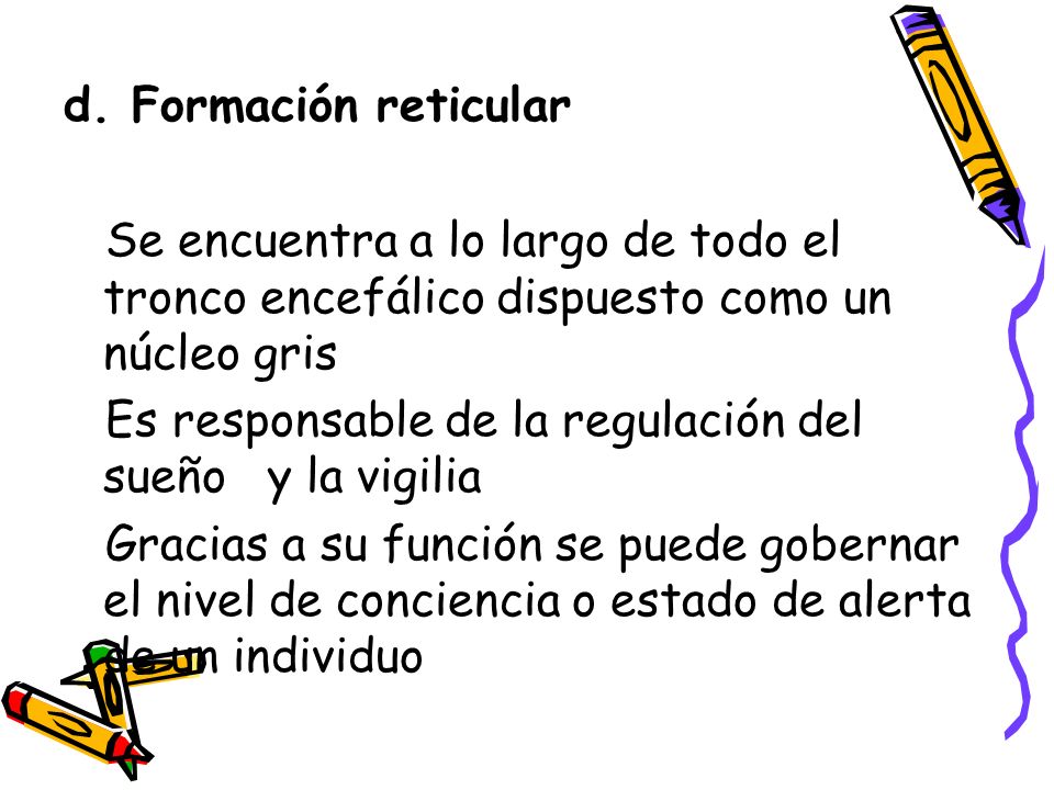 d. Formación reticular Se encuentra a lo largo de todo el tronco encefálico dispuesto como un núcleo gris.