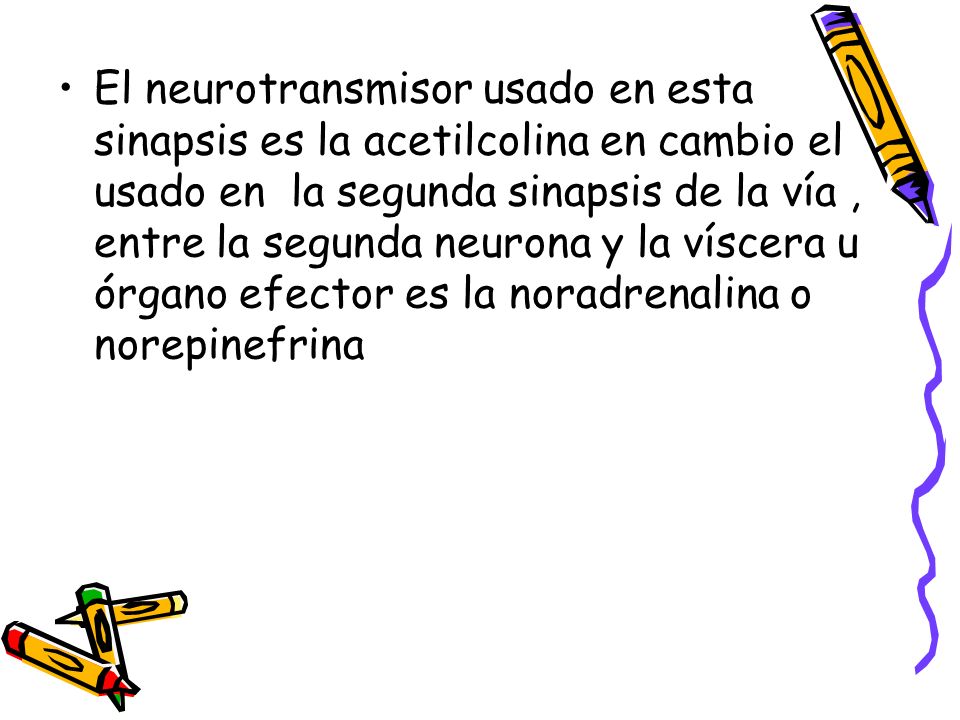 El neurotransmisor usado en esta sinapsis es la acetilcolina en cambio el usado en la segunda sinapsis de la vía , entre la segunda neurona y la víscera u órgano efector es la noradrenalina o norepinefrina