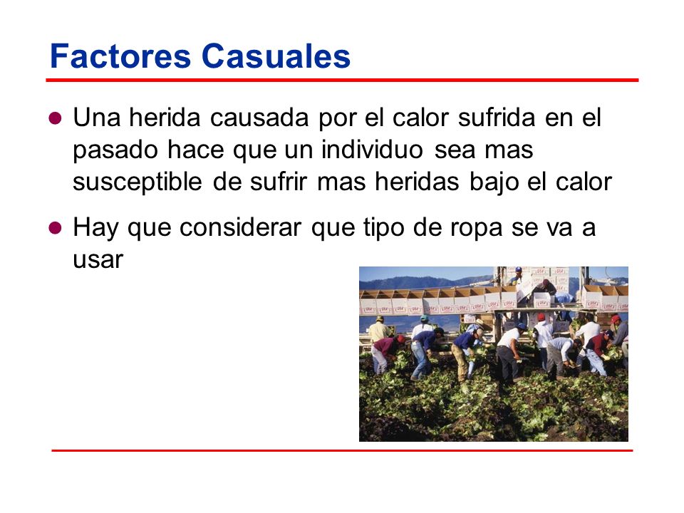Factores Casuales Una herida causada por el calor sufrida en el pasado hace que un individuo sea mas susceptible de sufrir mas heridas bajo el calor.