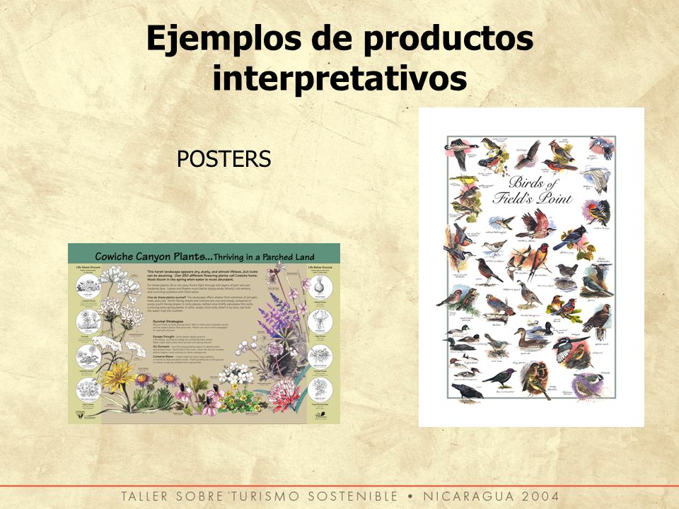 Ejemplos de productos interpretativos