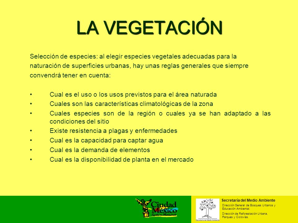 LA VEGETACIÓN Selección de especies: al elegir especies vegetales adecuadas para la.