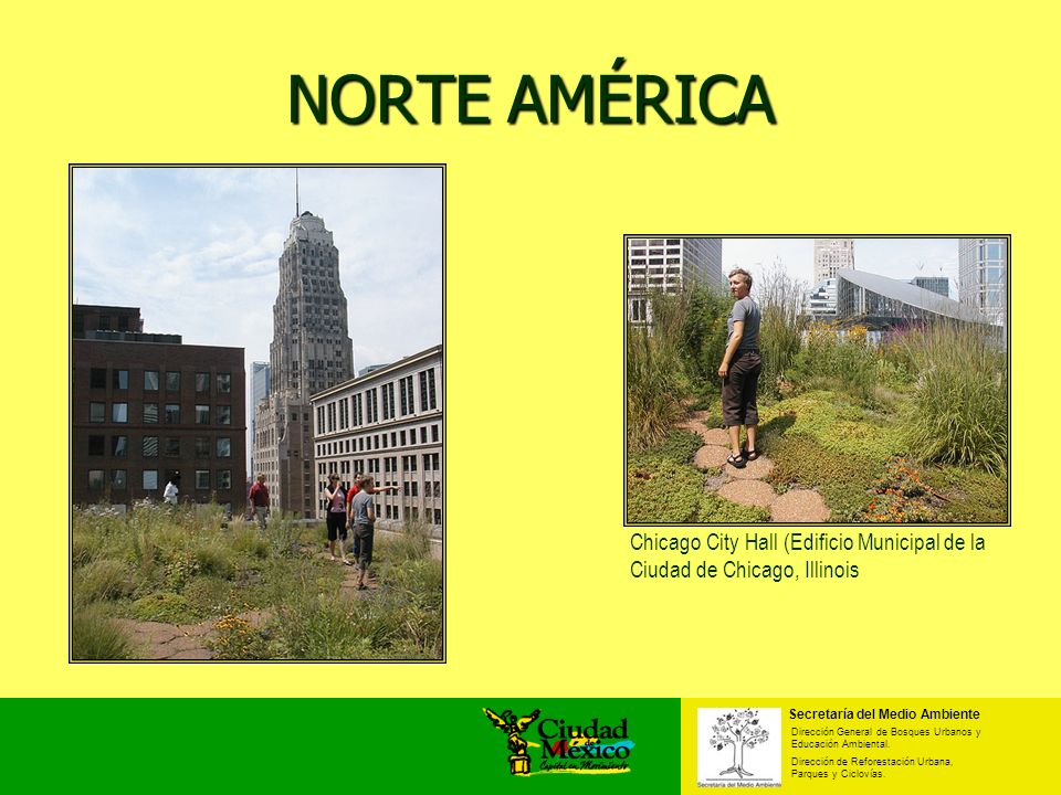 NORTE AMÉRICA Chicago City Hall (Edificio Municipal de la Ciudad de Chicago, Illinois. Secretaría del Medio Ambiente.