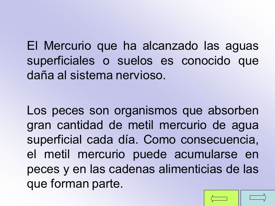 El Mercurio que ha alcanzado las aguas superficiales o suelos es conocido que daña al sistema nervioso.