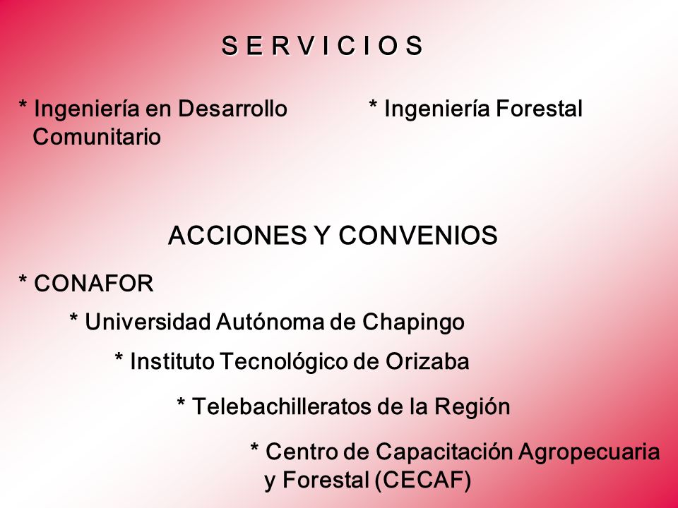 S E R V I C I O S ACCIONES Y CONVENIOS