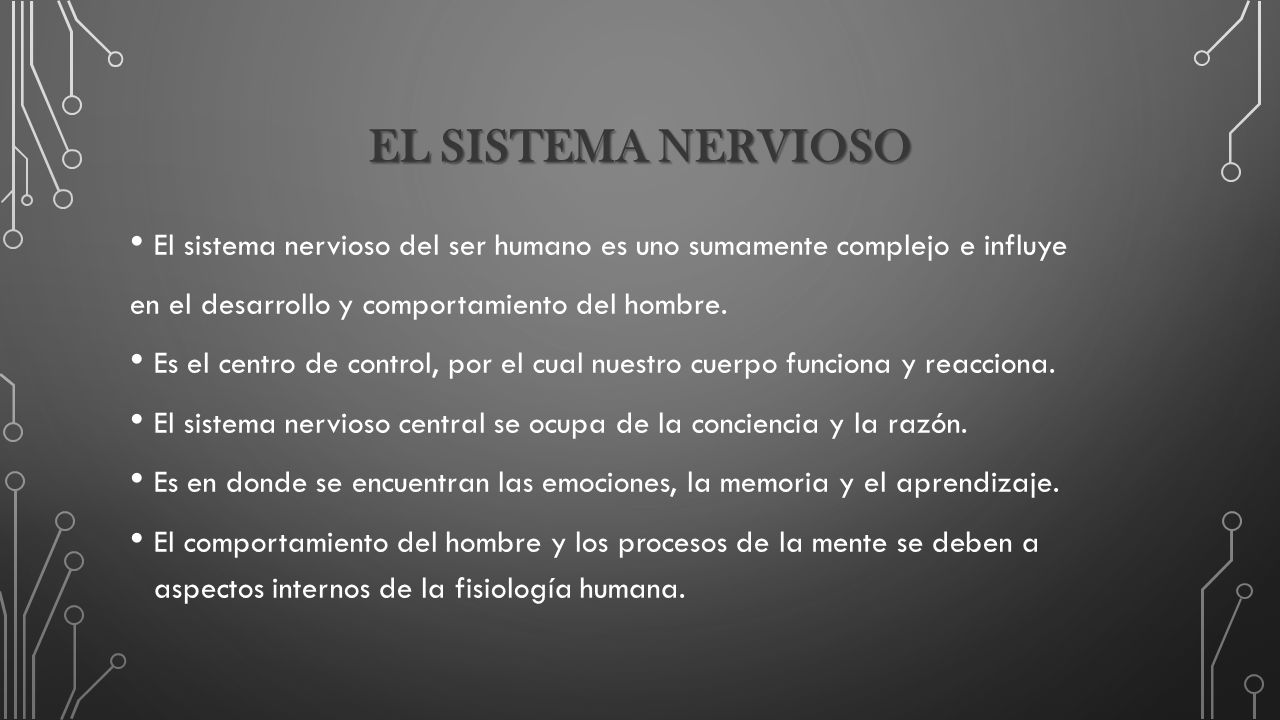 el sistema nervioso El sistema nervioso del ser humano es uno sumamente complejo e influye. en el desarrollo y comportamiento del hombre.