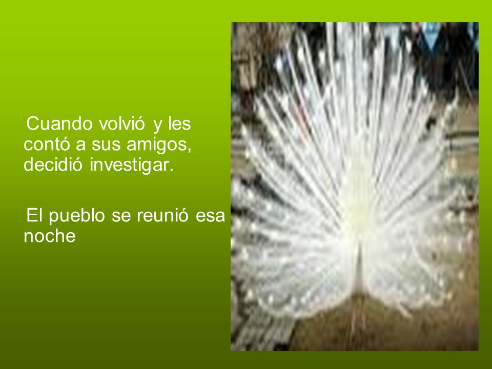 Cuando volvió y les contó a sus amigos, decidió investigar.