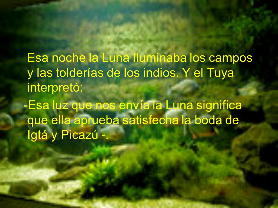 Esa noche la Luna Iluminaba los campos y las tolderías de los indios
