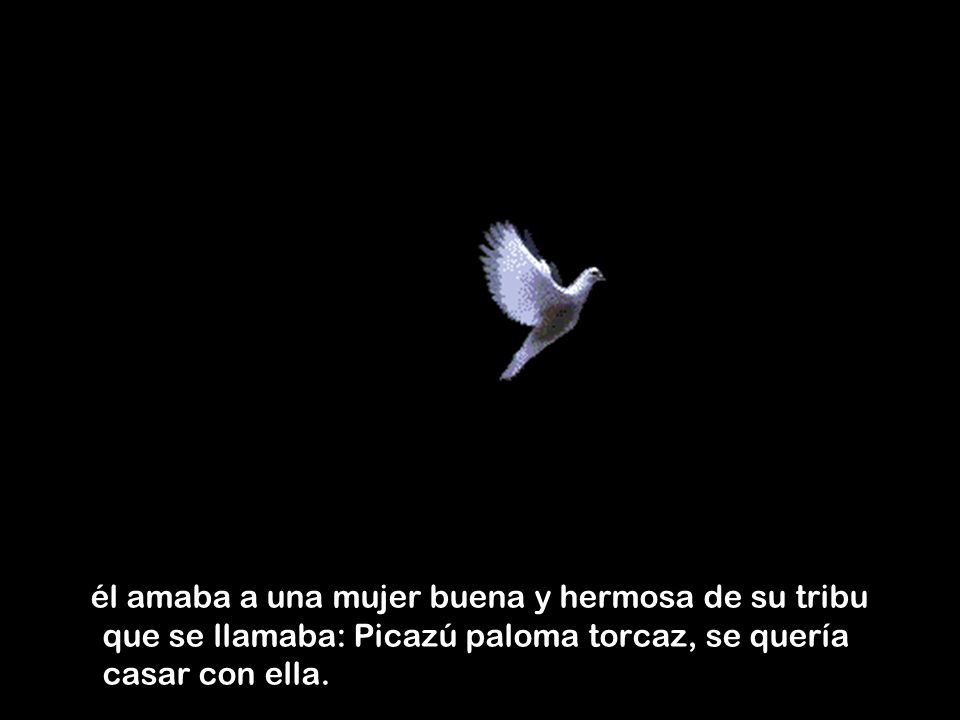 él amaba a una mujer buena y hermosa de su tribu que se llamaba: Picazú paloma torcaz, se quería casar con ella.