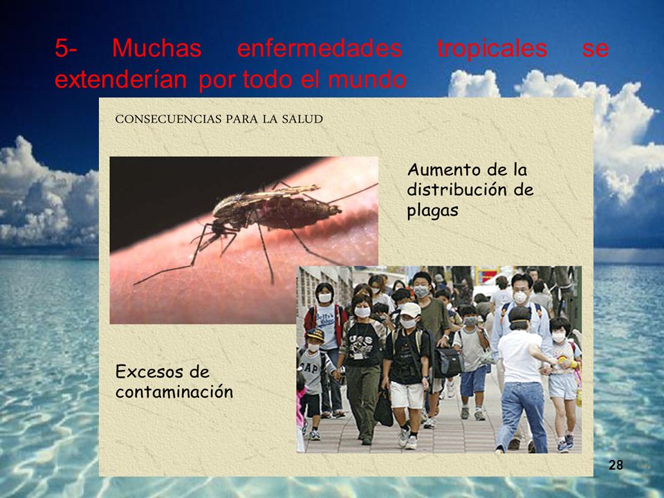 5- Muchas enfermedades tropicales se extenderían por todo el mundo.
