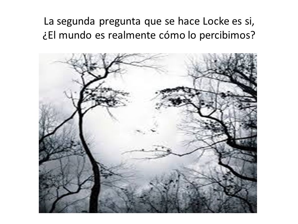 La segunda pregunta que se hace Locke es si, ¿El mundo es realmente cómo lo percibimos