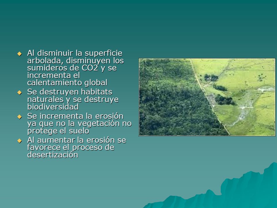 Al disminuir la superficie arbolada, disminuyen los sumideros de CO2 y se incrementa el calentamiento global