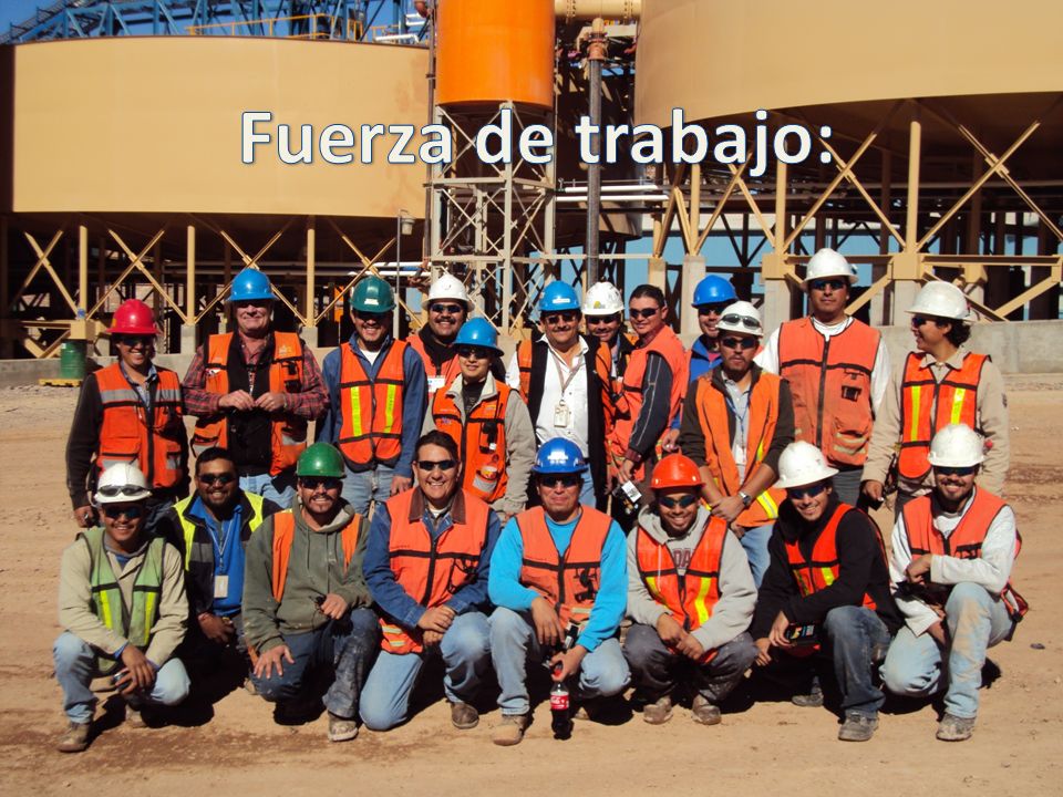 Fuerza de trabajo: