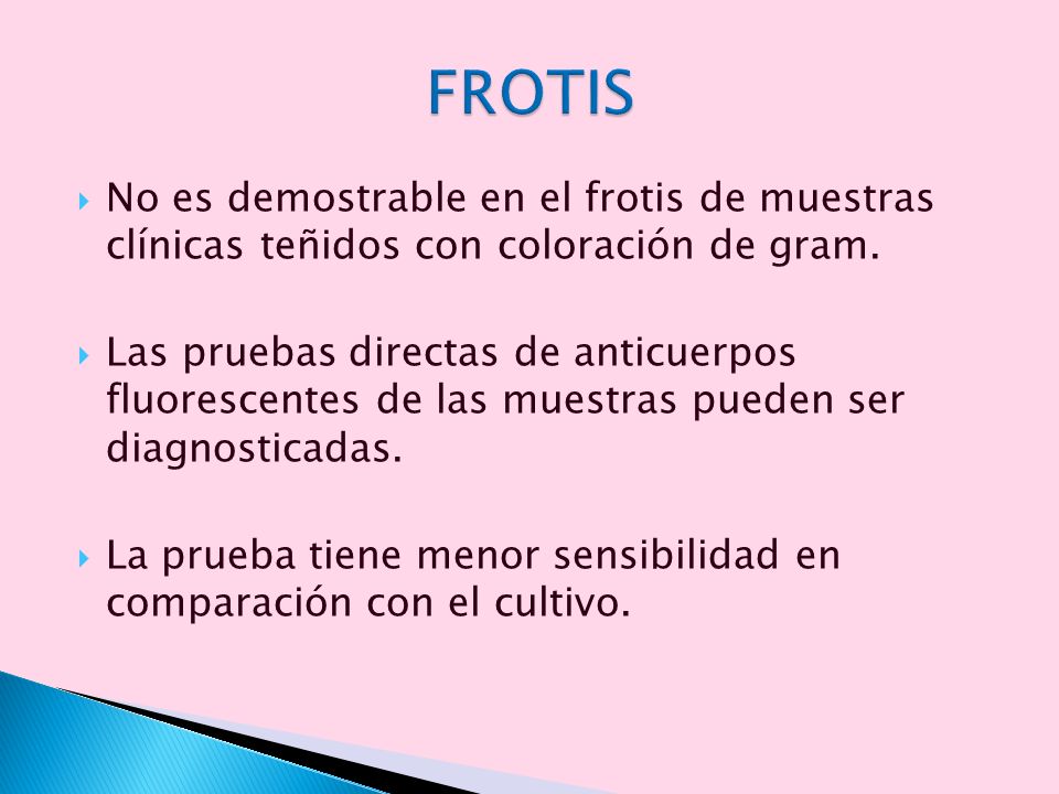 FROTIS No es demostrable en el frotis de muestras clínicas teñidos con coloración de gram.