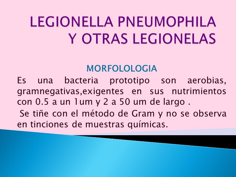 LEGIONELLA PNEUMOPHILA Y OTRAS LEGIONELAS