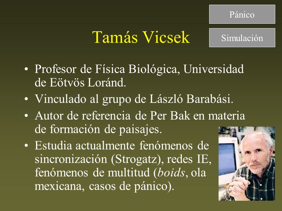 Pánico Tamás Vicsek. Simulación. Profesor de Física Biológica, Universidad de Eötvös Loránd. Vinculado al grupo de László Barabási.
