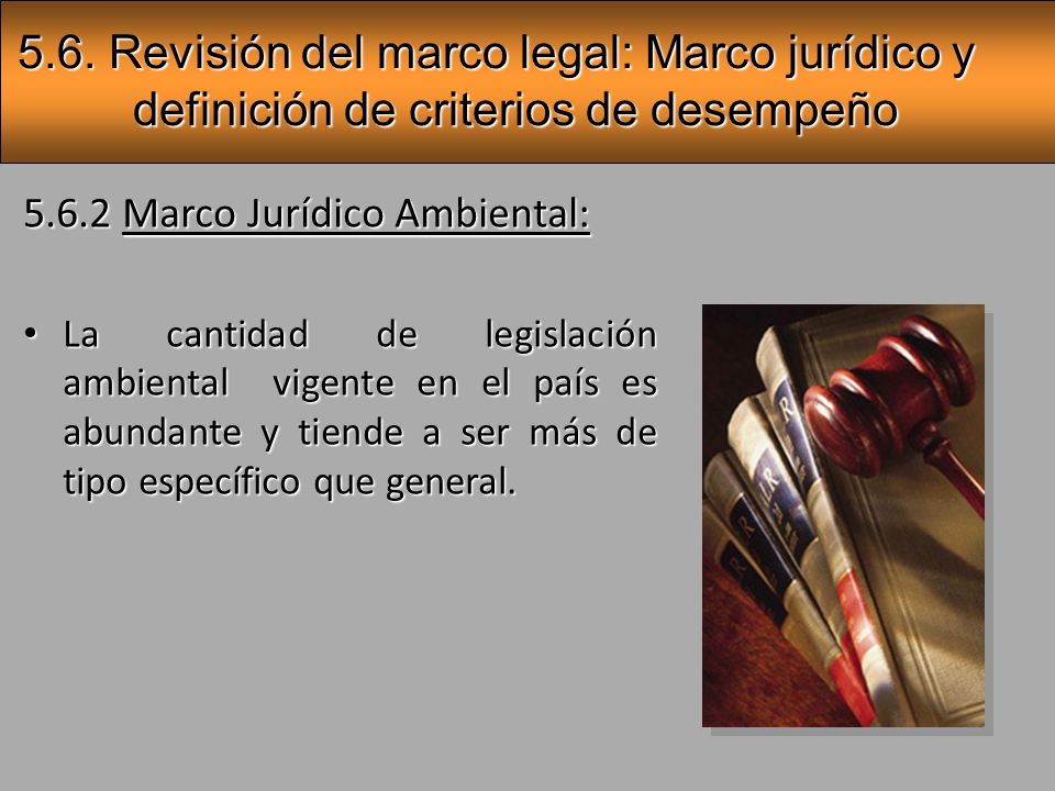 5.6. Revisión del marco legal: Marco jurídico y definición de criterios de desempeño
