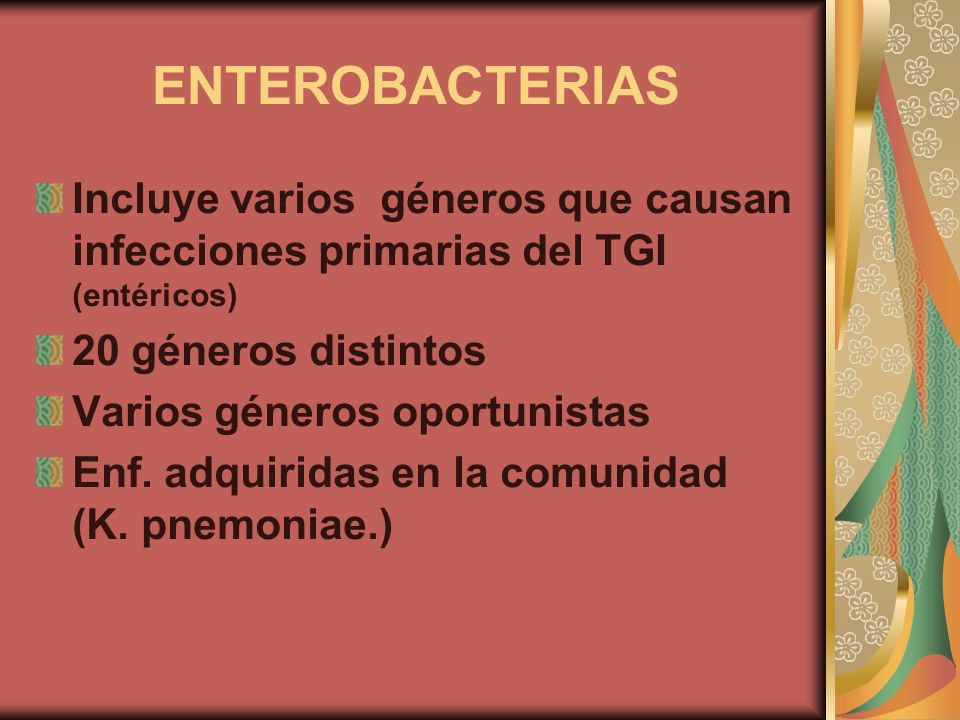 ENTEROBACTERIAS Incluye varios géneros que causan infecciones primarias del TGI (entéricos) 20 géneros distintos.