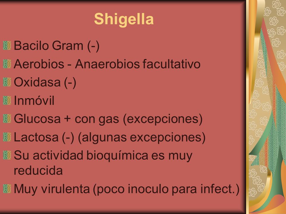 Shigella Bacilo Gram (-) Aerobios - Anaerobios facultativo Oxidasa (-)