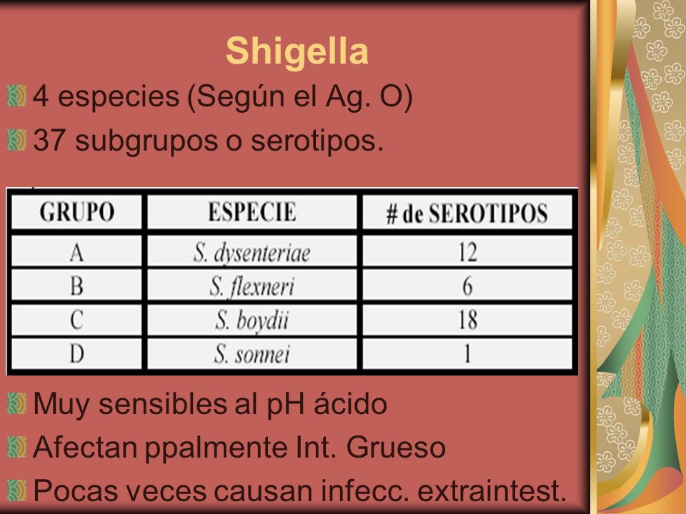 Shigella 4 especies (Según el Ag. O) 37 subgrupos o serotipos.
