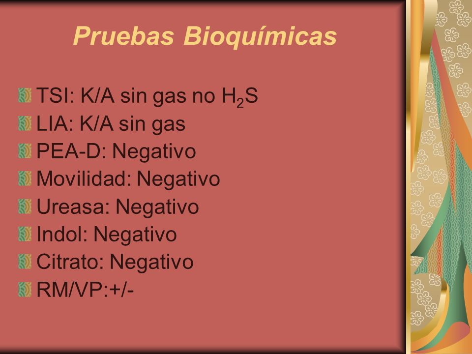 Pruebas Bioquímicas TSI: K/A sin gas no H2S LIA: K/A sin gas
