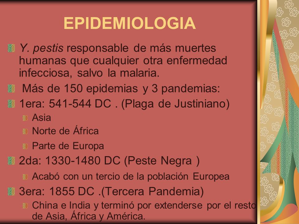 EPIDEMIOLOGIA Y. pestis responsable de más muertes humanas que cualquier otra enfermedad infecciosa, salvo la malaria.