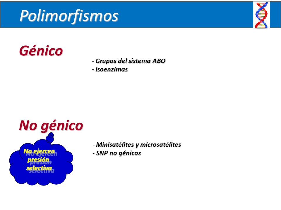 Polimorfismos Génico No génico Grupos del sistema ABO Isoenzimas