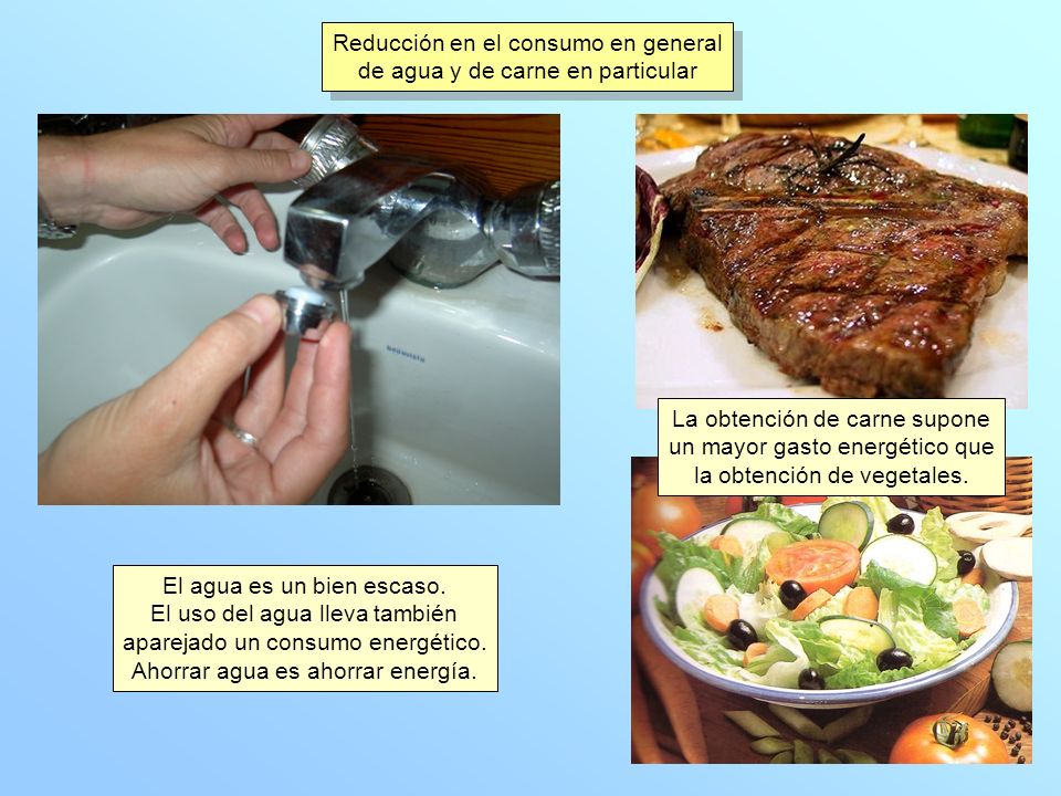 Reducción en el consumo en general de agua y de carne en particular