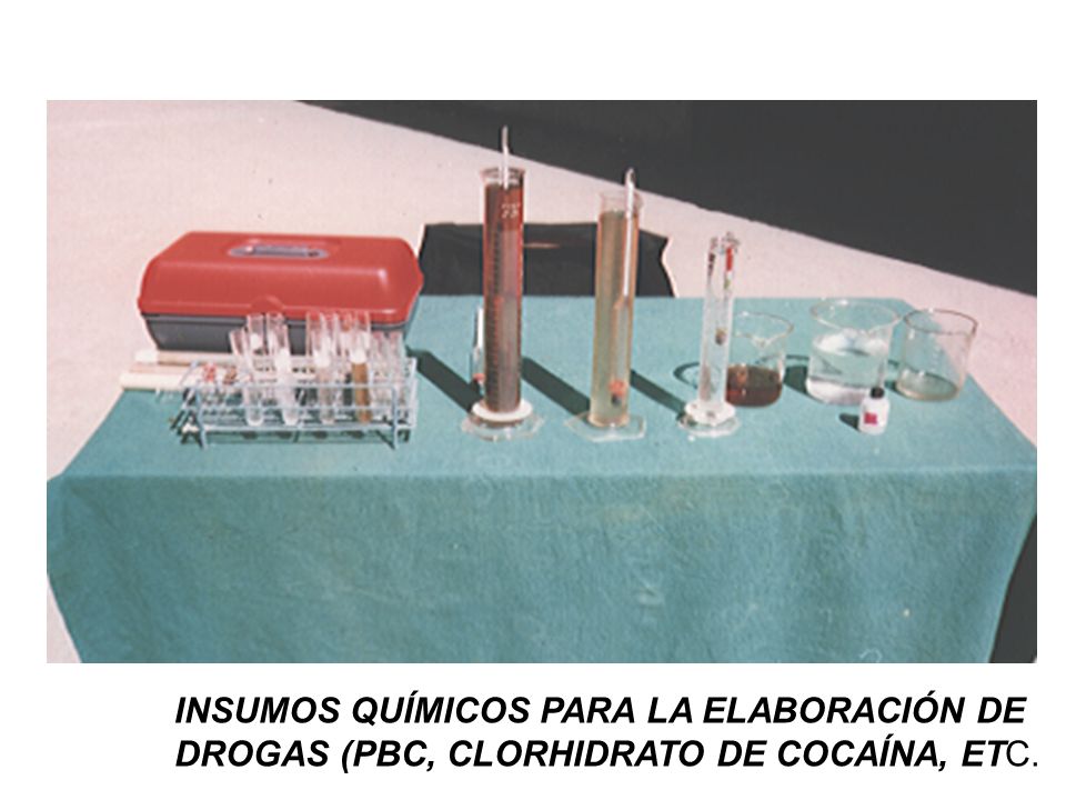 INSUMOS QUÍMICOS PARA LA ELABORACIÓN DE DROGAS (PBC, CLORHIDRATO DE COCAÍNA, ETC.