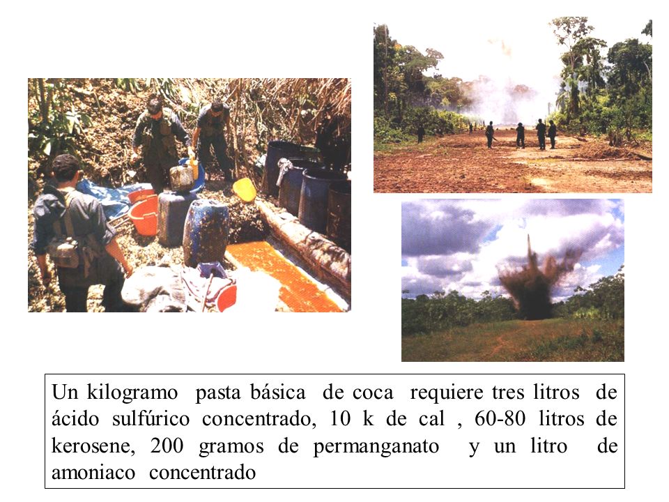 Un kilogramo pasta básica de coca requiere tres litros de ácido sulfúrico concentrado, 10 k de cal , litros de kerosene, 200 gramos de permanganato y un litro de amoniaco concentrado