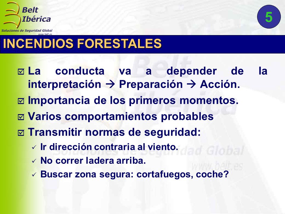 5 INCENDIOS FORESTALES. La conducta va a depender de la interpretación  Preparación  Acción. Importancia de los primeros momentos.