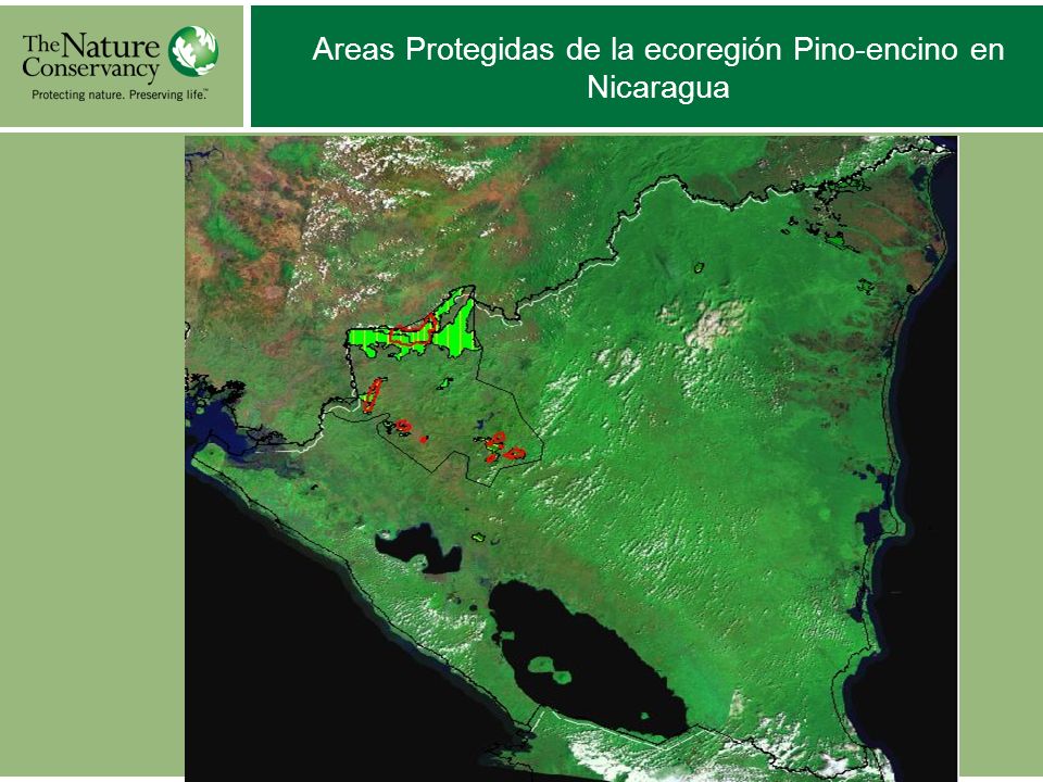 Areas Protegidas de la ecoregión Pino-encino en Nicaragua