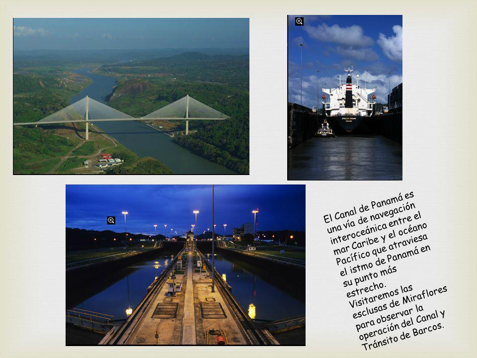 El Canal de Panamá es una vía de navegación interoceánica entre el mar Caribe y el océano Pacífico que atraviesa el istmo de Panamá en su punto más estrecho.