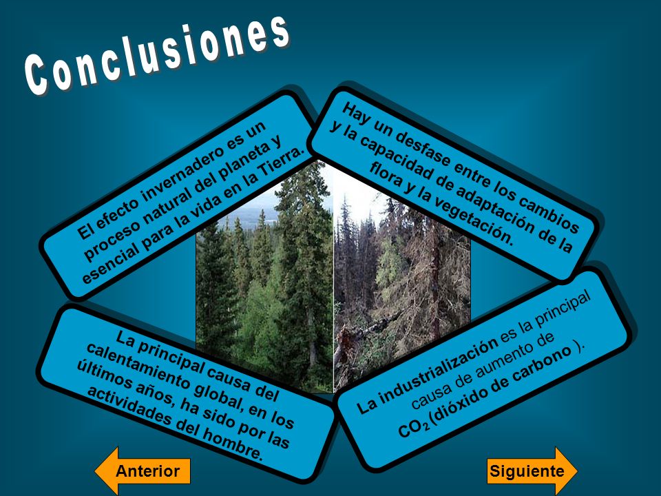 Conclusiones Hay un desfase entre los cambios y la capacidad de adaptación de la flora y la vegetación.