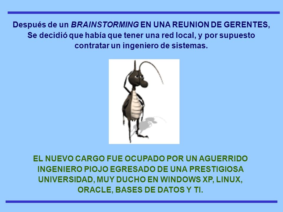 Después de un BRAINSTORMING EN UNA REUNION DE GERENTES, Se decidió que había que tener una red local, y por supuesto contratar un ingeniero de sistemas.