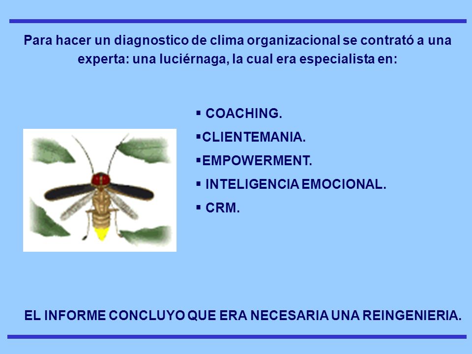Para hacer un diagnostico de clima organizacional se contrató a una experta: una luciérnaga, la cual era especialista en: