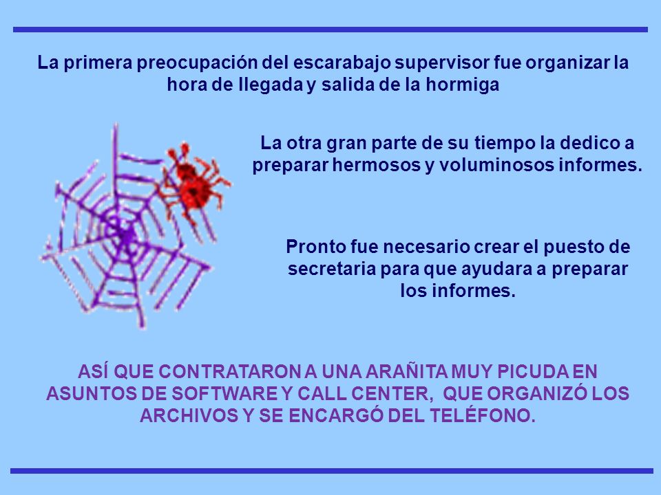 La primera preocupación del escarabajo supervisor fue organizar la hora de llegada y salida de la hormiga