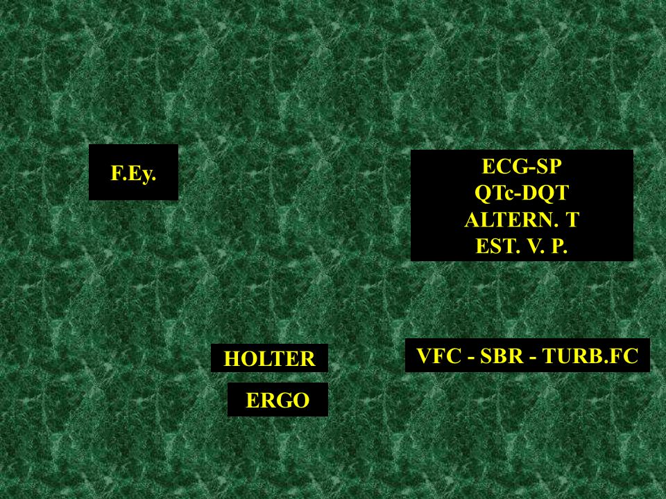 F.Ey. ECG-SP QTc-DQT ALTERN. T EST. V. P. VFC - SBR - TURB.FC HOLTER ERGO